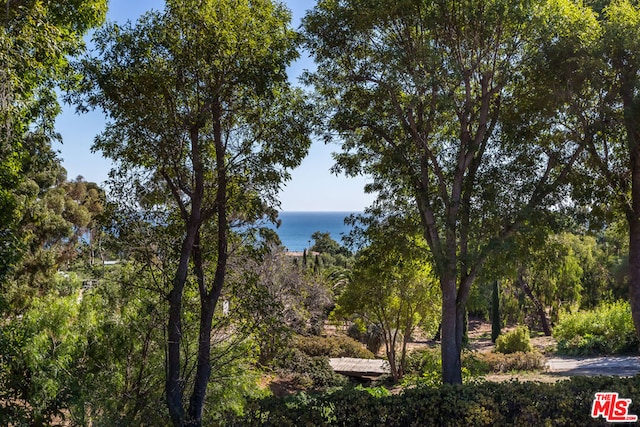 view of local wilderness featuring a water view