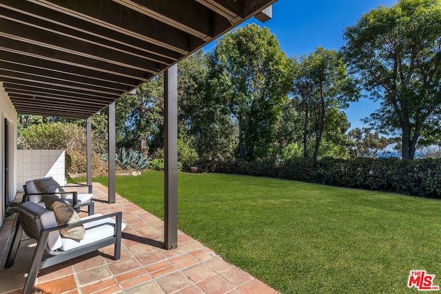 view of yard with a patio