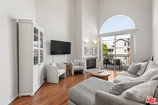 living room featuring dark hardwood / wood-style floors and a towering ceiling