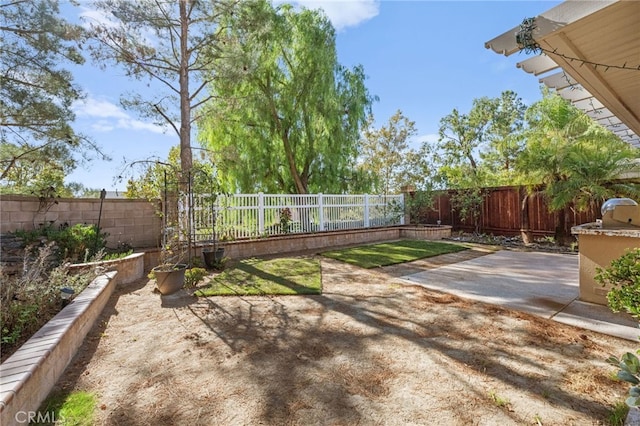 view of yard featuring a patio