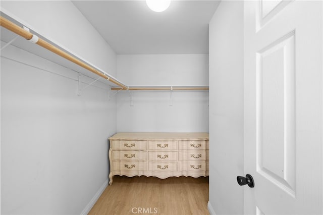 walk in closet featuring hardwood / wood-style floors