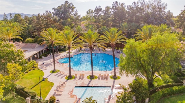 view of pool with a patio area