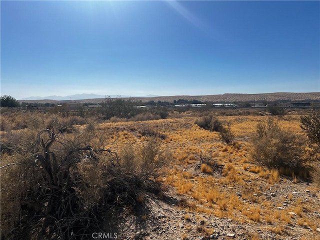 0 Sunflower Ave, Oro Grande, CA 92368 - photo 6