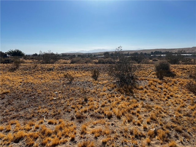 0 Sunflower Ave, Oro Grande, CA 92368 - photo 4