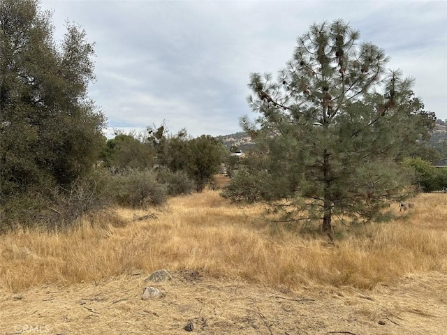 Listing photo 3 for 0LOT880 Jim Bowie Ct, Coarsegold CA 93614