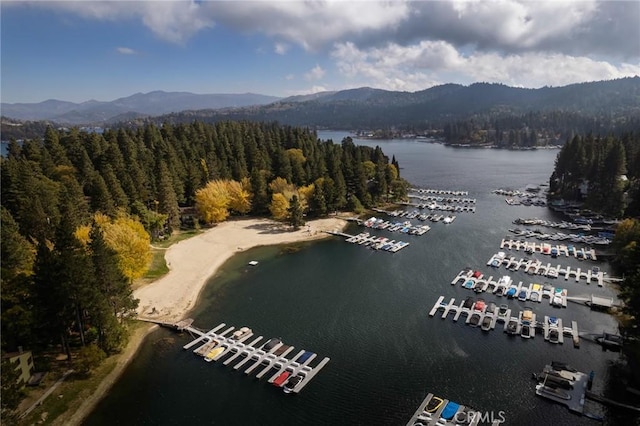 bird's eye view featuring a water and mountain view