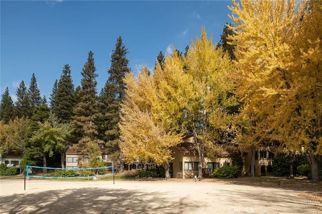 view of community with volleyball court