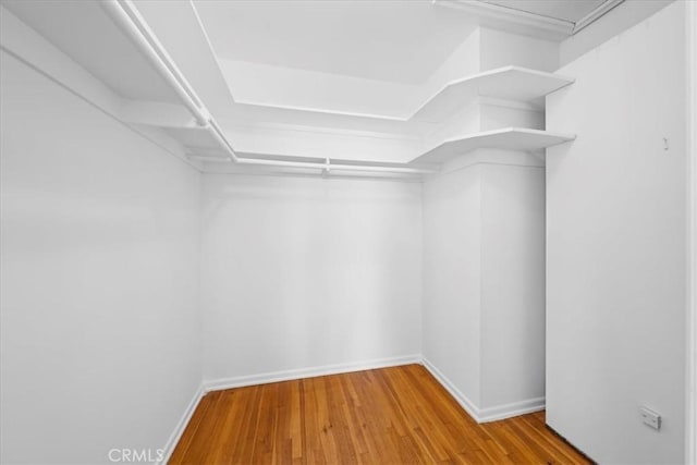 walk in closet featuring wood-type flooring