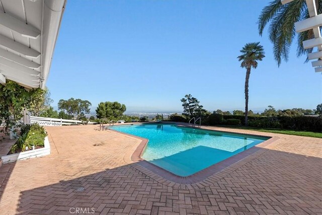 view of pool featuring a patio