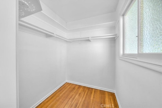 walk in closet featuring wood-type flooring