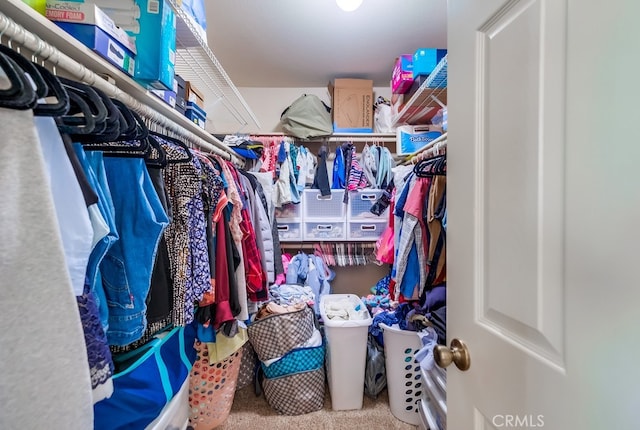 walk in closet with carpet flooring