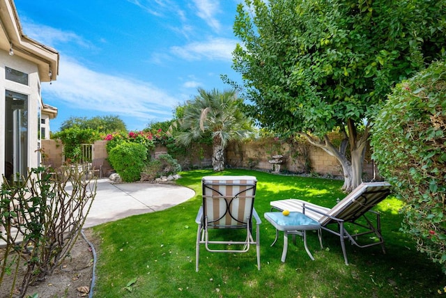 view of yard with a patio area