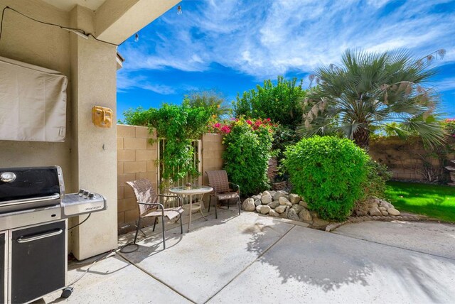 view of patio / terrace with grilling area