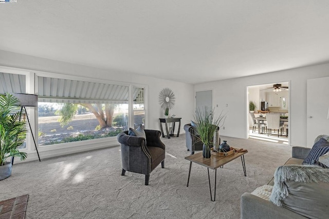 living room featuring ceiling fan