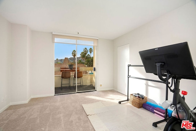 workout room with light colored carpet