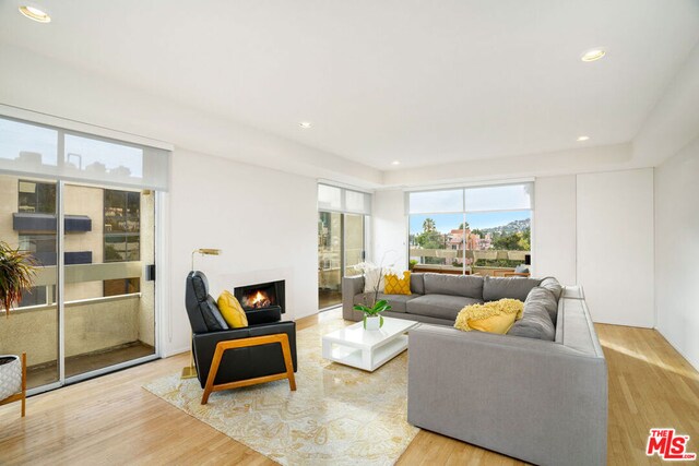 living room with light wood-type flooring