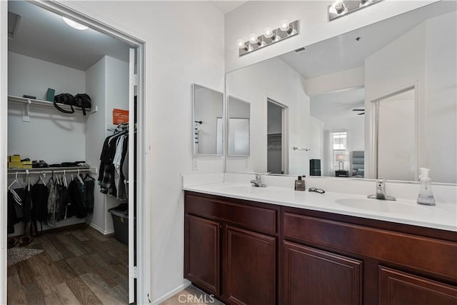 bathroom featuring hardwood / wood-style floors and vanity