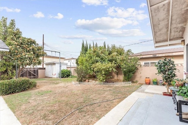 view of yard with a patio area and a shed