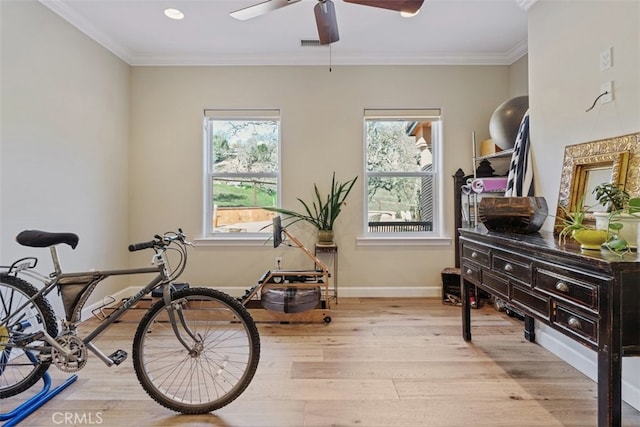 miscellaneous room with crown molding, light hardwood / wood-style floors, and ceiling fan