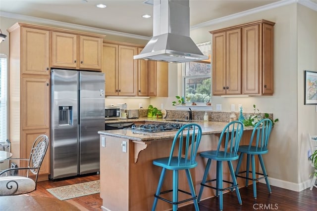 kitchen featuring appliances with stainless steel finishes, dark hardwood / wood-style flooring, stone countertops, island range hood, and crown molding