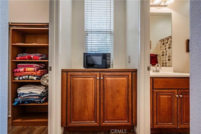 bathroom featuring hardwood / wood-style flooring and vanity