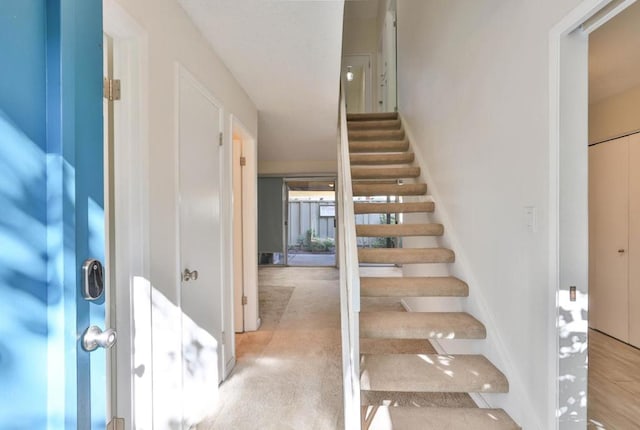 stairway featuring hardwood / wood-style floors