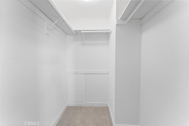 walk in closet with light carpet