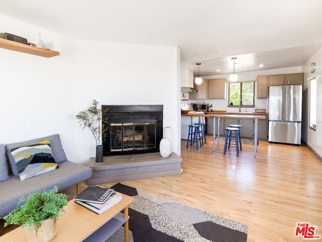 living room with light wood-type flooring