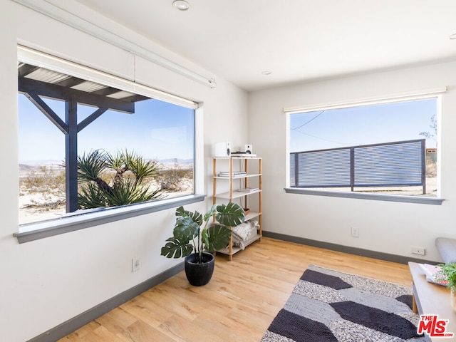 sitting room with light wood-type flooring and a wealth of natural light