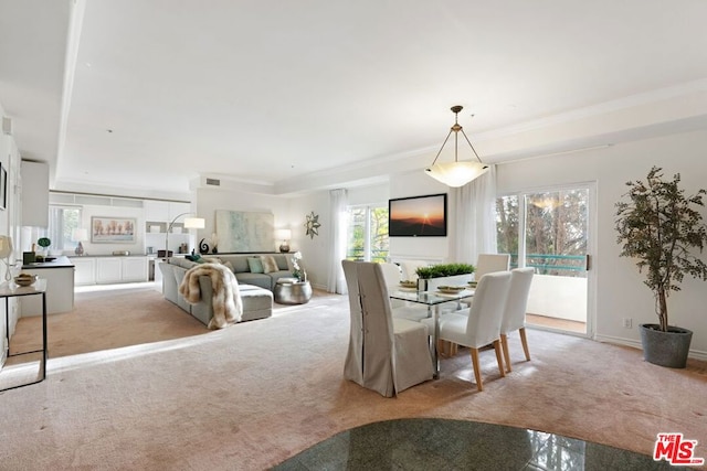 carpeted dining area featuring a tray ceiling and plenty of natural light