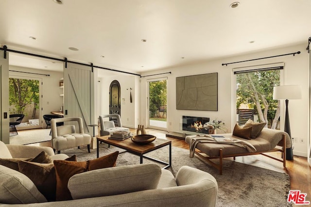 living room featuring a barn door and light wood-type flooring