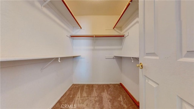 spacious closet with light carpet