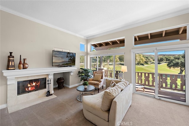 carpeted living room featuring crown molding, a fireplace, and baseboards