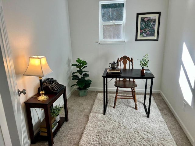 office with carpet floors