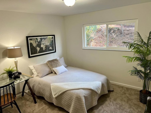 bedroom with carpet flooring