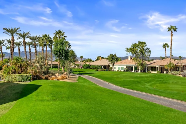 view of property's community with a yard