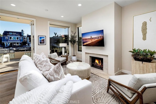 living room featuring a premium fireplace and hardwood / wood-style flooring