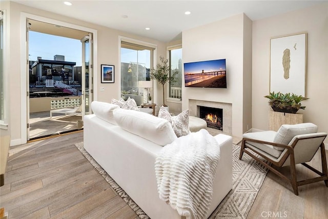 living room featuring light hardwood / wood-style floors