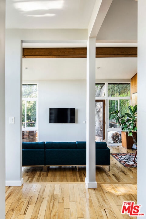 living room featuring plenty of natural light and wood-type flooring