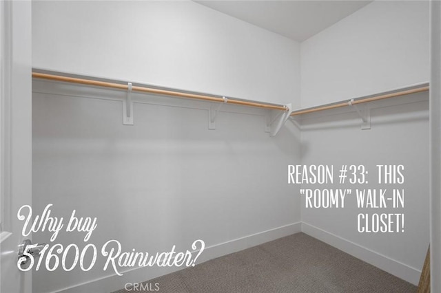 spacious closet featuring carpet floors