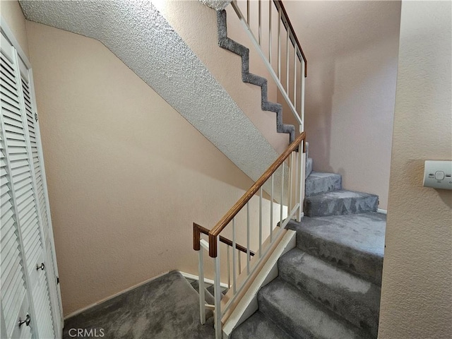 stairs featuring carpet floors