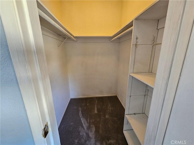 spacious closet featuring dark colored carpet