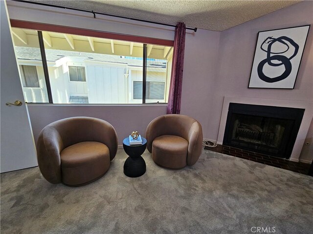 living area featuring carpet flooring and a textured ceiling