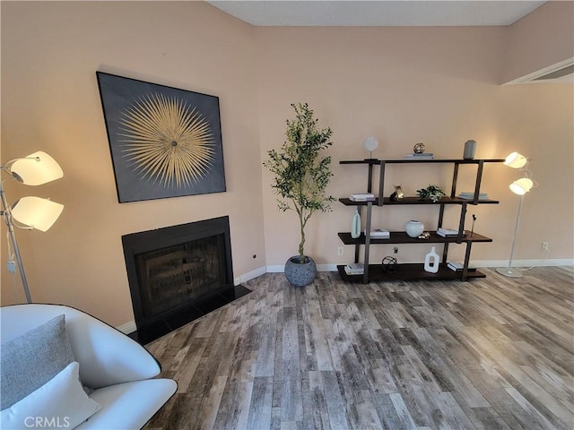 sitting room featuring hardwood / wood-style flooring