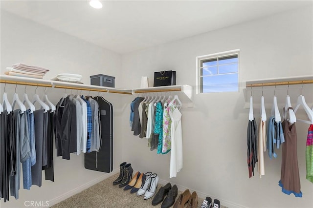 walk in closet featuring carpet floors