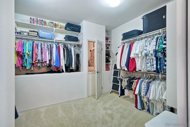 spacious closet featuring carpet flooring