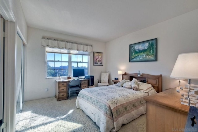 bedroom with light colored carpet and a closet