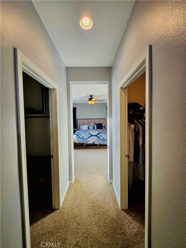 hallway featuring carpet