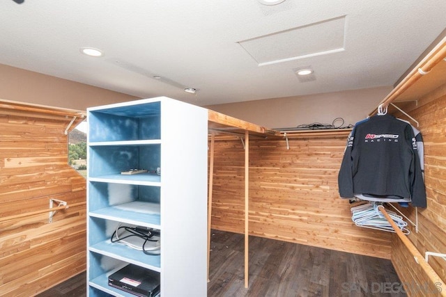 spacious closet with hardwood / wood-style flooring