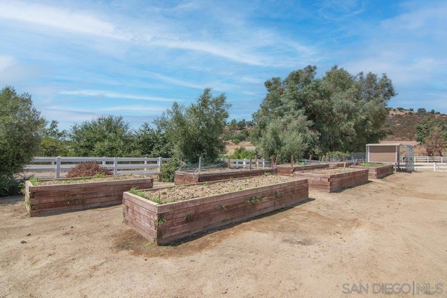 view of yard featuring a storage shed